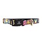 Water Pooch Stained Glass Waterproof Collar