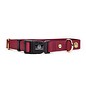 Water Pooch Bold Bordeaux Waterproof Collar