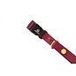 Water Pooch Bold Bordeaux Waterproof Collar