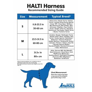 Company of Animals Halti Harness