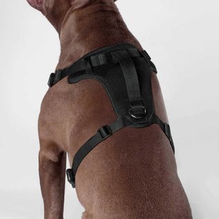 Canada Pooch The Everything Harness