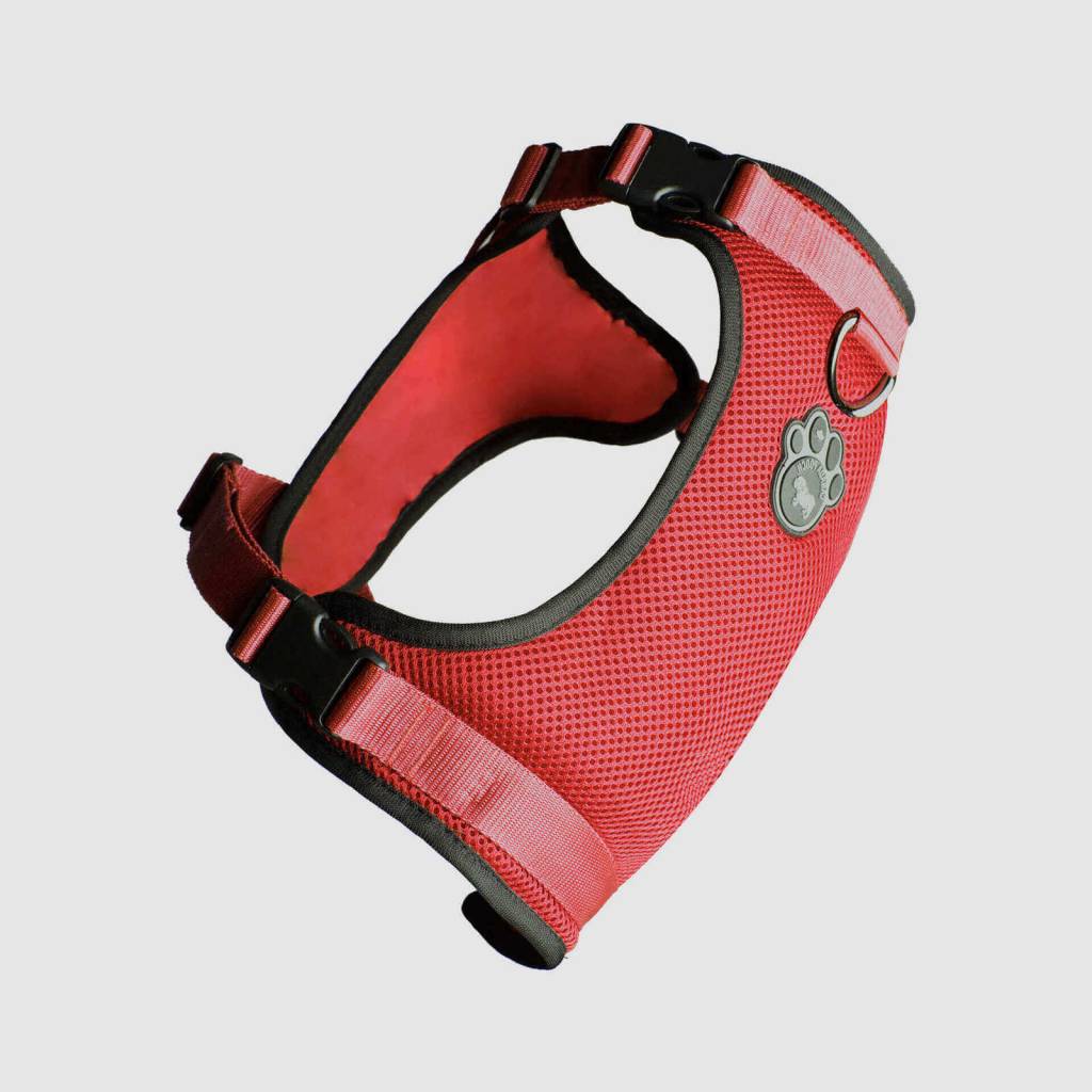 Canada 2025 pooch harness