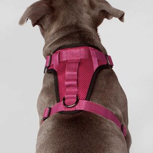 Canada Pooch The Everything Harness