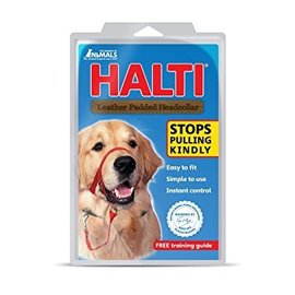 Company of Animals Halti Head Collar