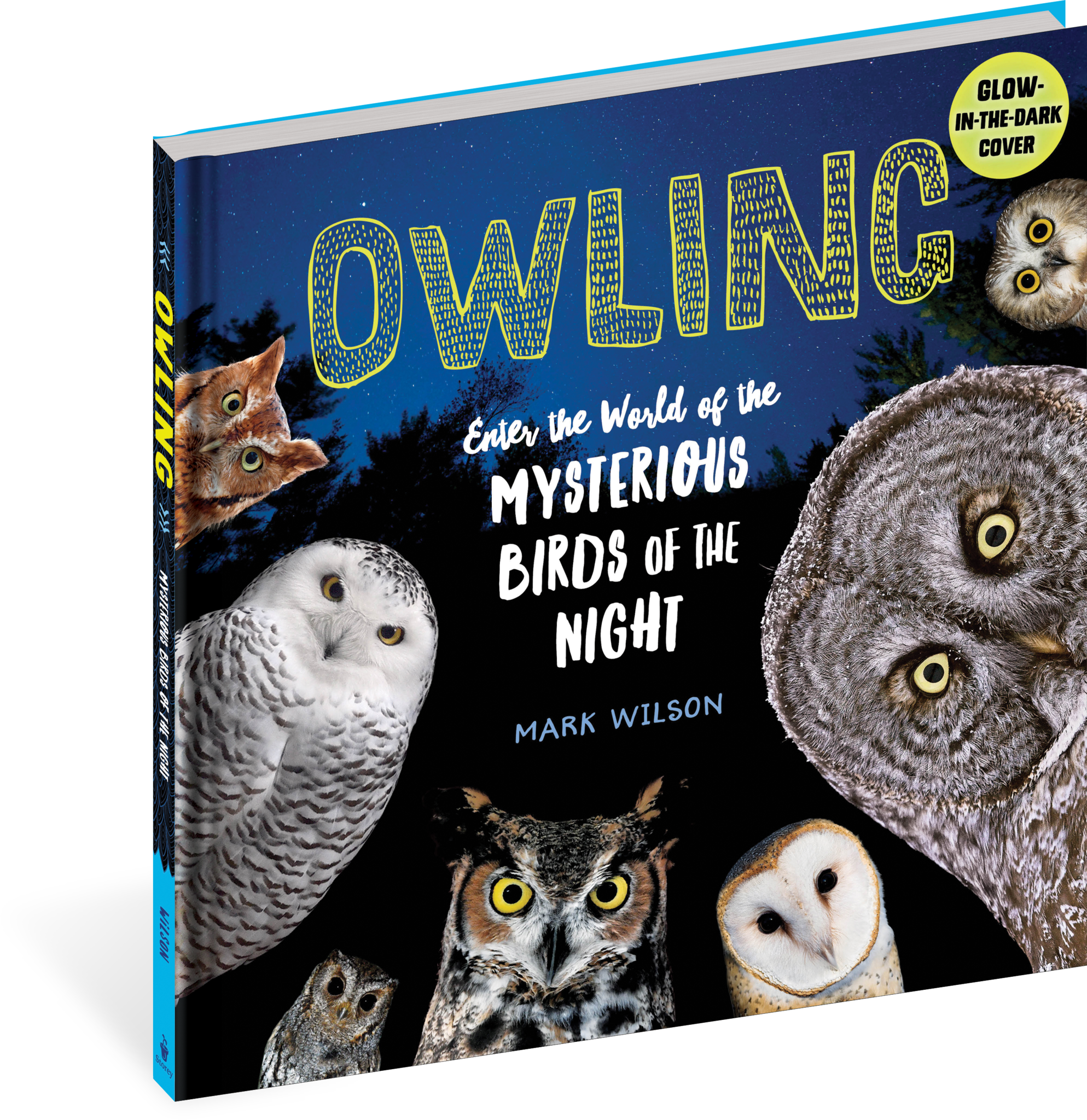Workman Publishing Owling