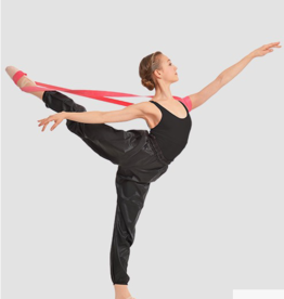 GAYNOR MINDEN FLEXIBILITY BAND