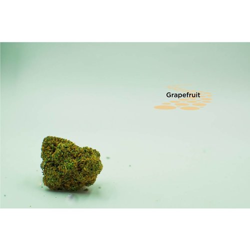 Grapefruit - Sativa Grapefruit - Sativa