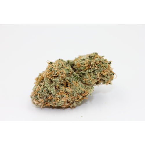 Platinum Dolato - Indica Hybrid Platinum Dolato - Indica Hybrid