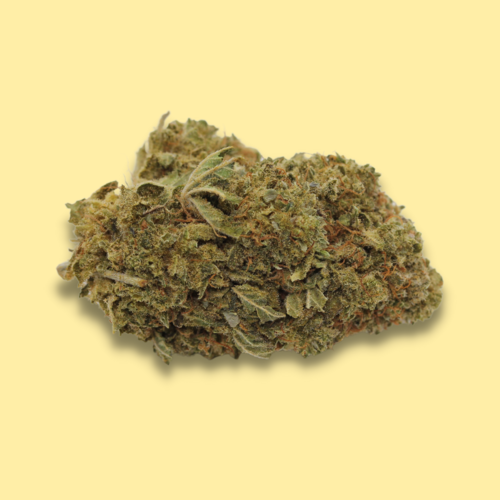 CBD - Charlotte's Angel // Oz Special CBD - Charlotte's Angel // Oz Special