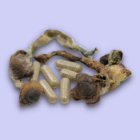 Penis Envy Psilocybin Microdose Capsules - 200mg