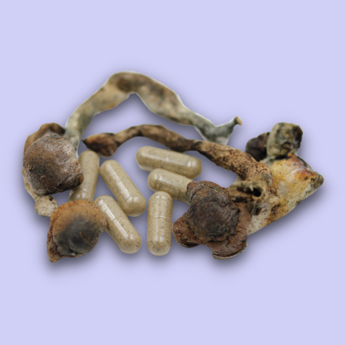 Chill Penis Envy Psilocybin Microdose Capsules - 200mg