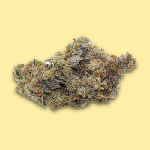 Hybrid - Mint Chocolate Chip // Oz Special Hybrid - Mint Chocolate Chip // Oz Special