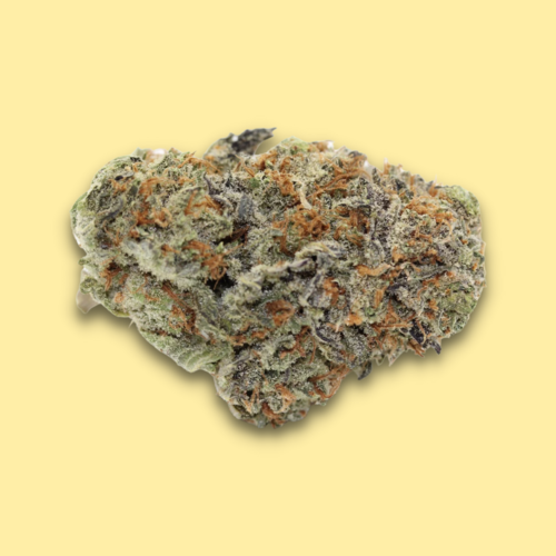 Sativa - Black Pearl // Oz Special Sativa - Black Pearl // Oz Special