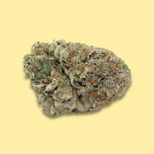 Indica - Purple Kush // Oz Special Indica - Purple Kush // Oz Special