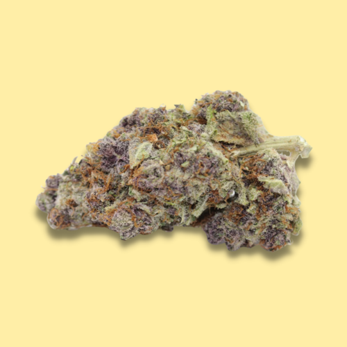 Sativa Hybrid - Mick Jagger Sativa Hybrid - Mick Jagger