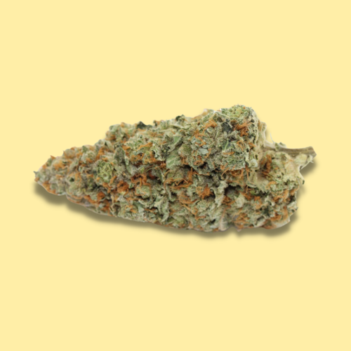 Sativa - Super Lemon Haze // Oz Special Sativa - Super Lemon Haze // Oz Special