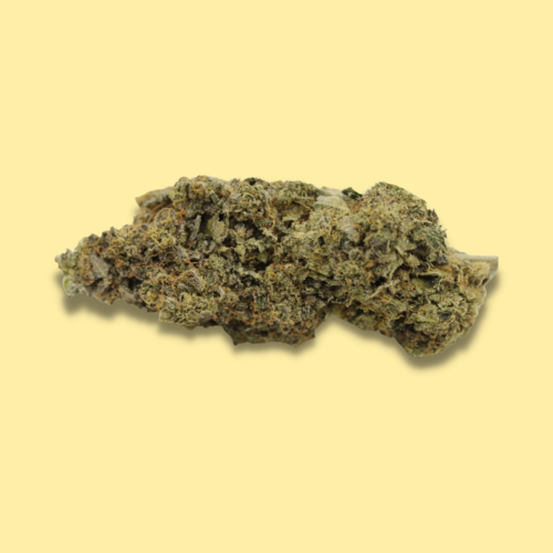 Indica Hybrid - Mendo Maximus Indica Hybrid - Mendo Maximus