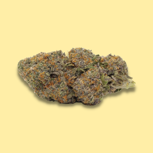 Shishkaberry // Oz Special Shishkaberry // Oz Special