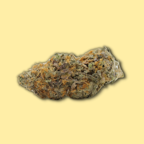 Gorilla Glue#5 Gorilla Glue#5