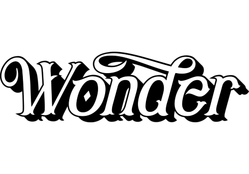 Wonder