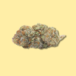 Rockstar // OZ Special