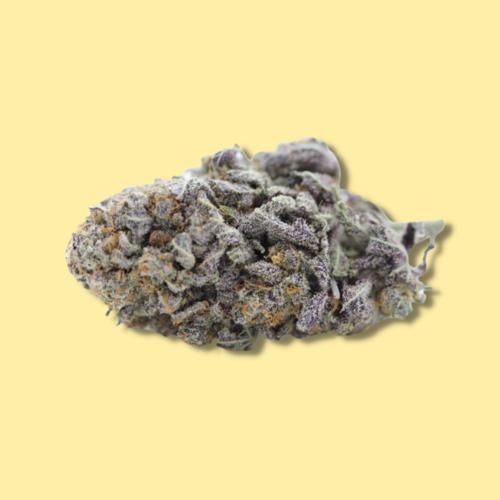 King Louis XIII // Oz Special King Louis XIII // Oz Special