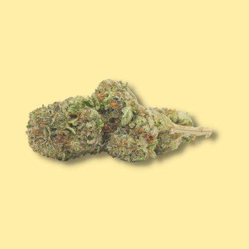 King Bubba // Oz Special King Bubba // Oz Special