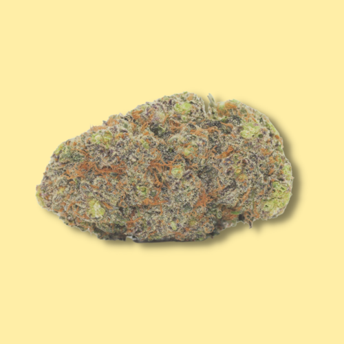 Gorilla Glue #5 // Oz Special Gorilla Glue #5 // Oz Special
