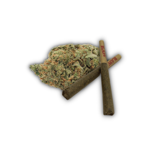 Citrique // Pre-Roll Citrique // Pre-Roll