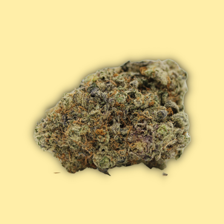 Biscotti // OZ Special