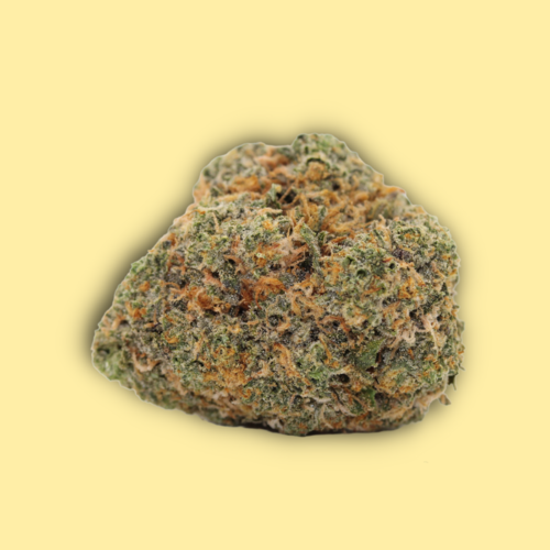 Fat Nelson // OZ Special Fat Nelson // OZ Special