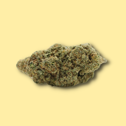 Moby Dick Moby Dick