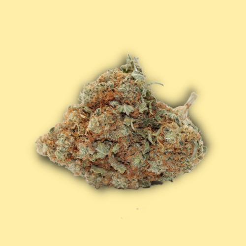 The Lime // OZ Special The Lime // OZ Special