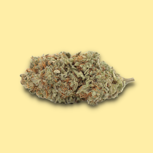 Chiesel // OZ Special Chiesel // OZ Special