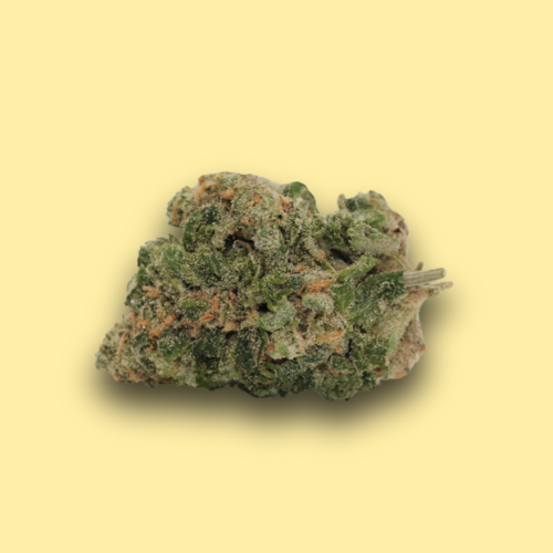 Strawberry Diesel // OZ Special