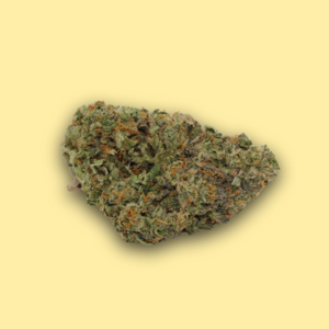 California Orange // OZ Special