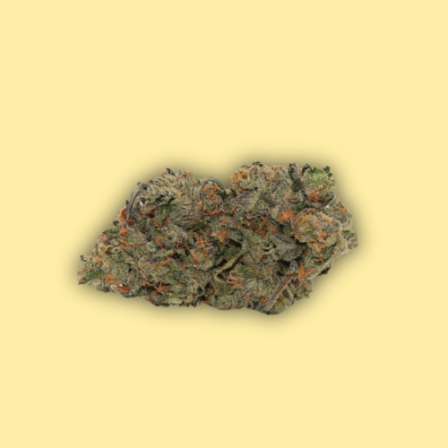 Donkey Butter // OZ Special Donkey Butter // OZ Special