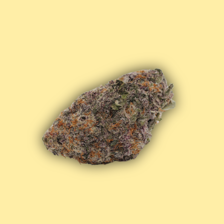 MAC Stomper // OZ Special