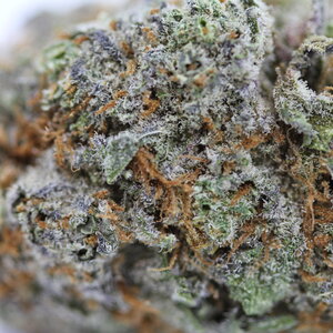 Fruity Pebbles // OZ Special