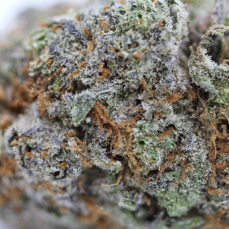 Fruity Pebbles // OZ Special