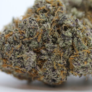 Sour Blow Pop // OZ Special