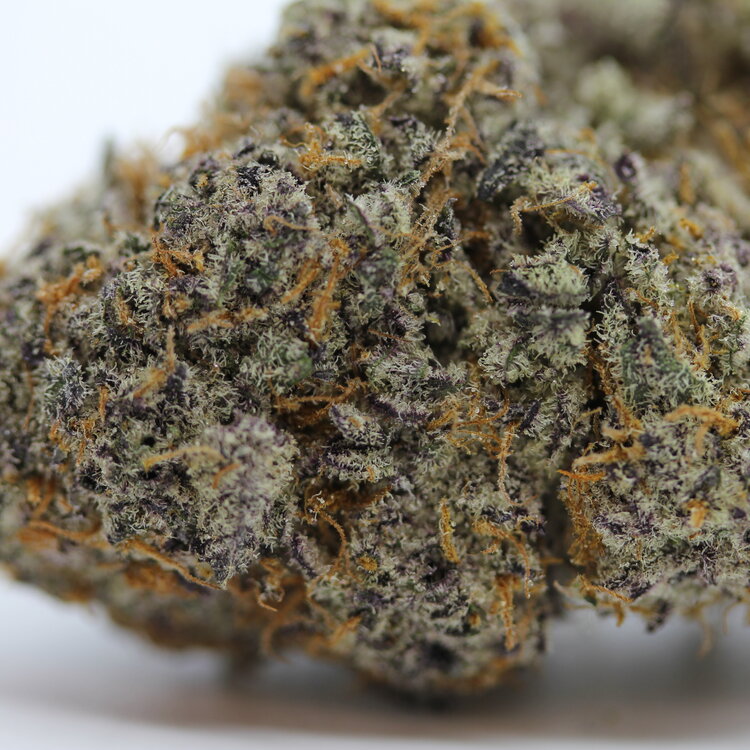 Sour Blow Pop // OZ Special