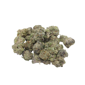 PopcornDonkey Butter // OZ Special