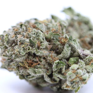 Popcorn Donkey Butter // OZ Special