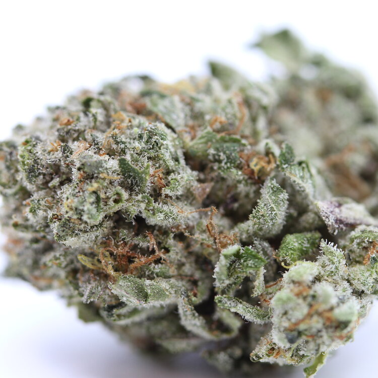 PopcornDonkey Butter // OZ Special