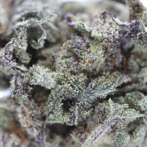 Nuken // OZ Super Saver Special