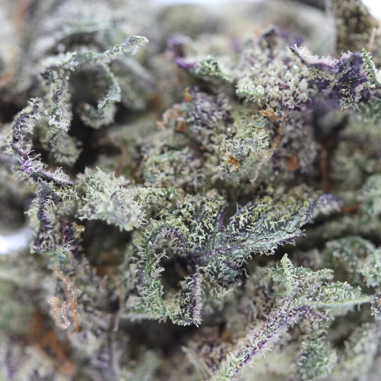 Nuken // OZ Super Saver Special