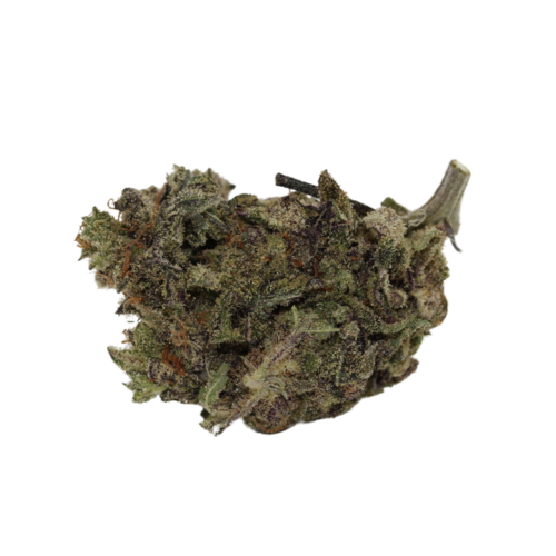 Nuken Nuken