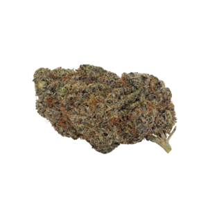 White Truffle // OZ Special