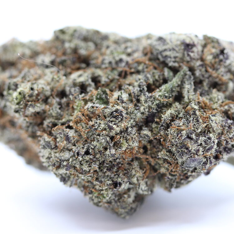 White Truffle // OZ Special